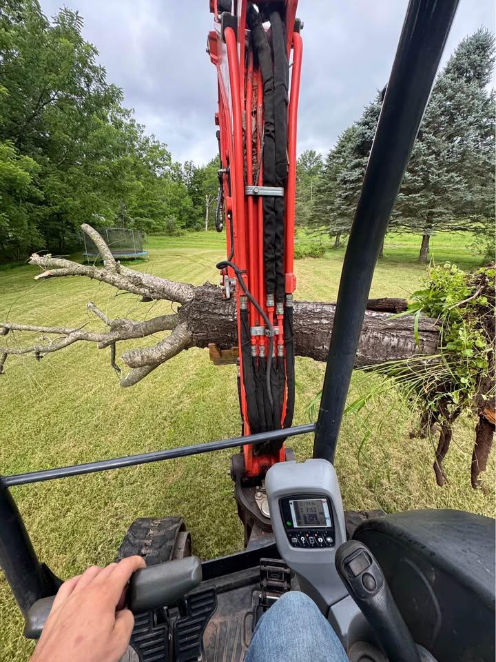 Tree Removal & Land Clearing